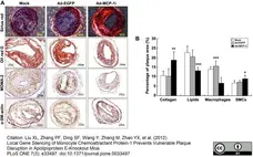 Anti Mouse Macrophages/Monocytes Antibody, clone MOMA-2 gallery image 7