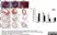 Anti Mouse Macrophages/Monocytes Antibody, clone MOMA-2 thumbnail image 7
