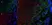Anti Mouse MARCO Antibody, clone ED31 thumbnail image 1