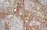 Anti Mouse MARCO Antibody, clone ED31 thumbnail image 5