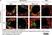 Anti Mouse MARCO Antibody, clone ED31 thumbnail image 6