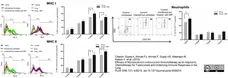 Anti Mouse MHC Class I Antibody, clone 2G5 gallery image 1