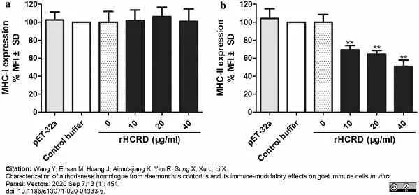 Anti Mouse MHC Class I Antibody, clone 2G5 gallery image 4