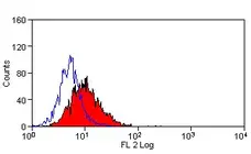 Anti Mouse Notch 2 Antibody, clone HMN2-35 gallery image 1