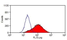 Anti Mouse TIM-1 Antibody, clone RMT1-10 gallery image 1