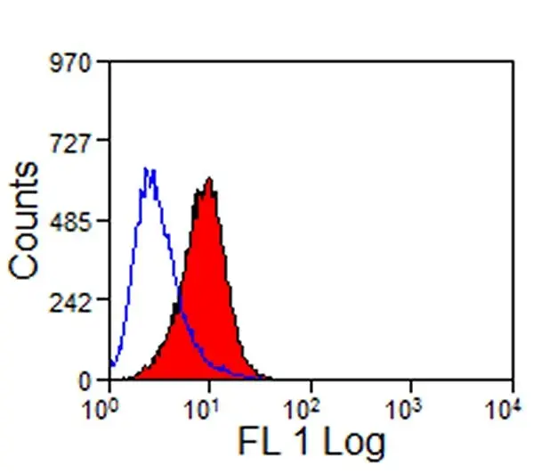 Anti Mouse TIM-1 Antibody, clone RMT1-10 gallery image 2