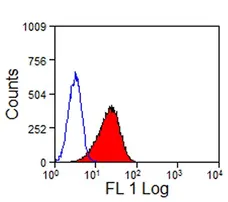 Anti Mouse TIM-2 Antibody, clone RMT2-25 gallery image 2