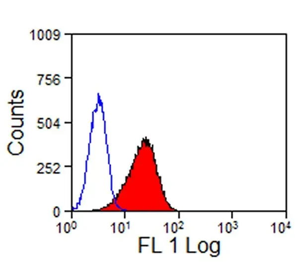 Anti Mouse TIM-2 Antibody, clone RMT2-25 gallery image 2