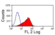 Anti Mouse TIM-3 Antibody, clone RMT3-23 gallery image 3