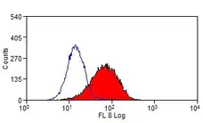 Anti Mouse TIM-4 Antibody, clone RMT4-54 gallery image 1