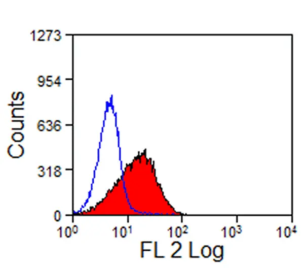 Anti Mouse TIM-4 Antibody, clone RMT4-54 gallery image 2