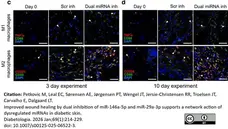 Anti Mouse TNF Alpha Antibody, clone MP6-XT22 gallery image 3