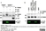 Anti Mouse Trem-2 Antibody, clone 78.18 thumbnail image 2