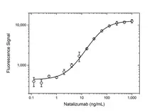 Anti Natalizumab Antibody, clone AbD21375 gallery image 3