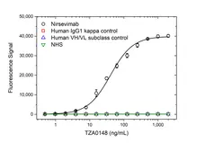 Anti Nirsevimab Antibody, clone AbD64624 gallery image 2