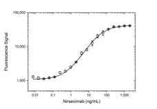 Anti Nirsevimab Antibody, clone AbD64624 gallery image 3