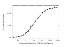 Anti Nivolumab Antibody, clone AbD30258_hIgG1 gallery image 3