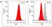 Anti Obinutuzumab Antibody, clone AbD50104ia thumbnail image 3