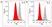 Anti Obinutuzumab Antibody, clone AbD50319ia thumbnail image 3