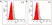 Anti Ocrelizumab Antibody, clone AbD50641ad thumbnail image 3