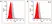 Anti Ocrelizumab Antibody, clone AbD50641ia thumbnail image 3
