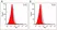 Anti Ocrelizumab Antibody, clone AbD50651 thumbnail image 3