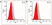 Anti Ocrelizumab Antibody, clone AbD50989ia thumbnail image 3