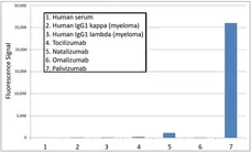 Anti Palivizumab Antibody, clone AbD23967 gallery image 1