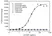 Anti Palivizumab Antibody, clone AbD23967 thumbnail image 2