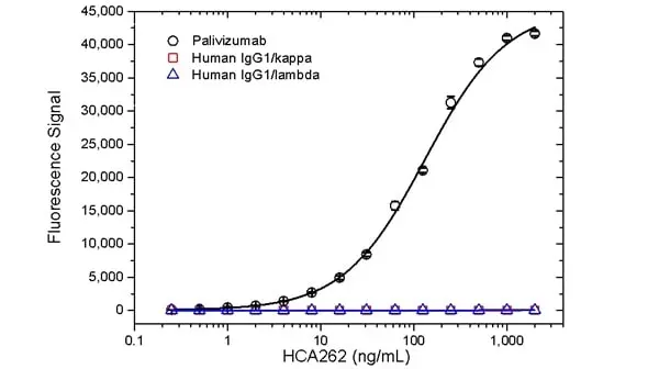 Anti Palivizumab Antibody, clone AbD23967_hIgG1 gallery image 2