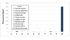 Anti Pembrolizumab Antibody, clone AbD30685_hIgG1 gallery image 1