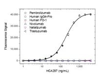 Anti Pembrolizumab Antibody, clone AbD30685_hIgG1 gallery image 2