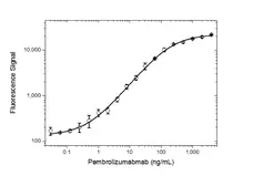 Anti Pembrolizumab Antibody, clone AbD30685_hIgG1 gallery image 3
