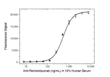 Anti Pembrolizumab Antibody, clone AbD30685_hIgG1 gallery image 4