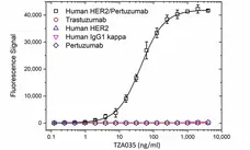 Anti Pertuzumab (Drug/Target Complex) Antibody, clone AbD35572 gallery image 2
