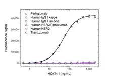 Anti Pertuzumab Antibody, clone AbD35668 gallery image 2