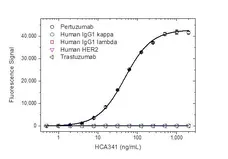 Anti Pertuzumab Antibody, clone AbD35668 gallery image 3