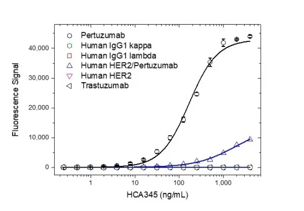 Anti Pertuzumab Antibody, clone AbD37069ia gallery image 2