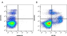 Anti Pig CD1 Antibody, clone 76-7-4 gallery image 1