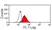 Anti Pig CD107a Antibody, clone 4E9/11 thumbnail image 1