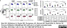 Anti Pig CD107a Antibody, clone 4E9/11 gallery image 3