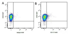 Anti Pig CD117 Antibody, clone 2B8/BM gallery image 4