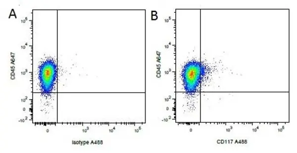 Anti Pig CD117 Antibody, clone 2B8/BM gallery image 4