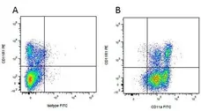 Anti Pig CD11R1 Antibody, clone MIL4 gallery image 3