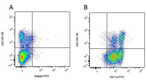 Anti Pig CD11R1 Antibody, clone MIL4 gallery image 3