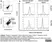 Anti Pig CD11R1 Antibody, clone MIL4 thumbnail image 5