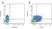 Anti Pig CD11R3 Antibody, clone 2F4/11 thumbnail image 2