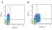Anti Pig CD11R3 Antibody, clone 2F4/11 thumbnail image 3