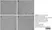 Anti Pig CD14 Antibody, clone MIL2 thumbnail image 3