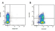 Anti Pig CD14 Antibody, clone MIL2 gallery image 4